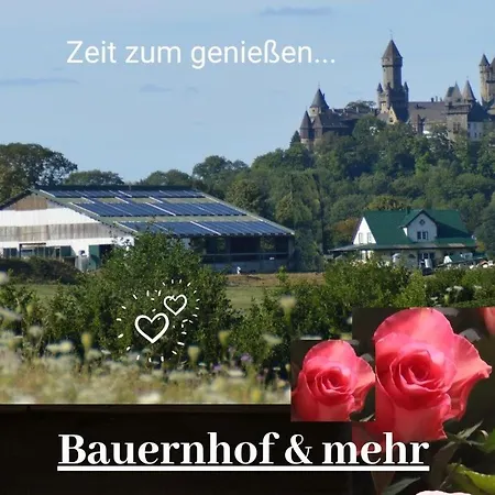 Kleine Einzigartige Auf Dem Bauernhof, Direkt In Der Mit Blick Auf Schloss דירה *