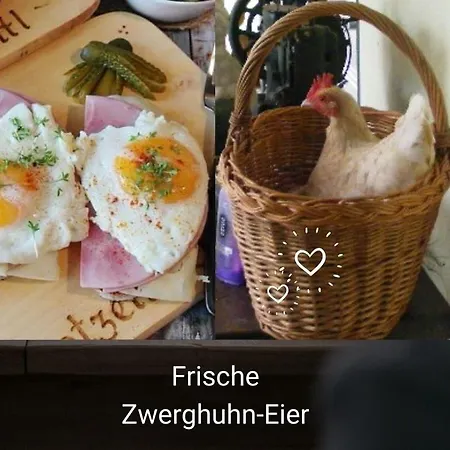 Apartment Kleine Einzigartige Auf Dem Bauernhof, Direkt In Der Mit Blick Auf Schloss *