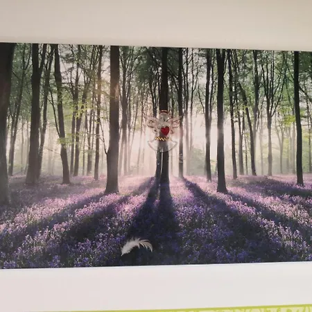 アパート Kleine Einzigartige Auf Dem Bauernhof, Direkt In Der Mit Blick Auf Schloss *