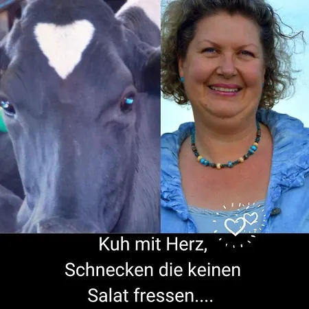 Kleine Einzigartige Auf Dem Bauernhof, Direkt In Der Mit Blick Auf Schloss ブラウンフェルス
