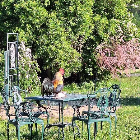Kleine Einzigartige Auf Dem Bauernhof, Direkt In Der Mit Blick Auf Schloss Appartamento Braunfels