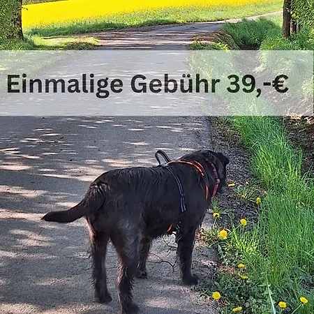 Kleine Einzigartige Auf Dem Bauernhof, Direkt In Der Mit Blick Auf Schloss Apartment *