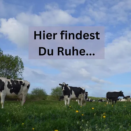 Appartamento Kleine Einzigartige Auf Dem Bauernhof, Direkt In Der Mit Blick Auf Schloss *