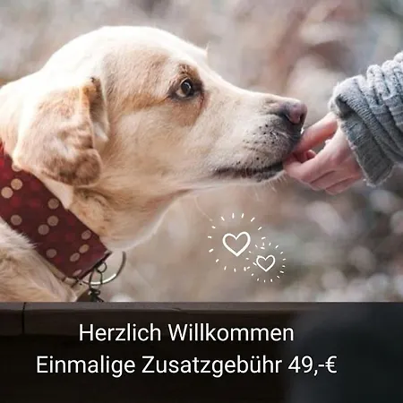 Kleine Einzigartige Auf Dem Bauernhof, Direkt In Der Mit Blick Auf Schloss דירה *
