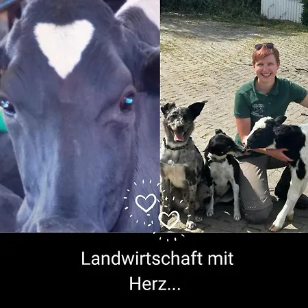 Kleine Einzigartige Auf Dem Bauernhof, Direkt In Der Mit Blick Auf Schloss アパート