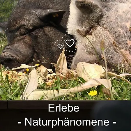 Апартаменты Kleine Einzigartige Auf Dem Bauernhof, Direkt In Der Mit Blick Auf Schloss