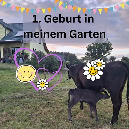 Kleine Einzigartige Auf Dem Bauernhof, Direkt In Der Mit Blick Auf Schloss * Braunfels