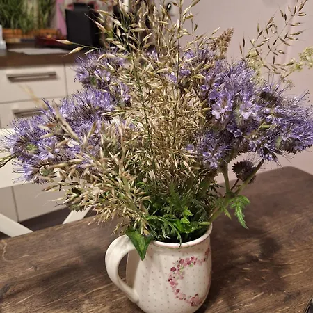 Appartamento Kleine Einzigartige Auf Dem Bauernhof, Direkt In Der Mit Blick Auf Schloss *