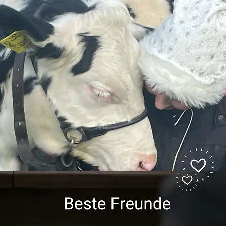 Kleine Einzigartige Auf Dem Bauernhof, Direkt In Der Mit Blick Auf Schloss * Braunfels