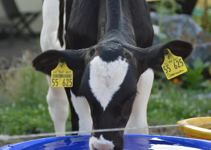 아파트 Kleine Einzigartige Auf Dem Bauernhof, Direkt In Der Mit Blick Auf Schloss 바라운펠츠