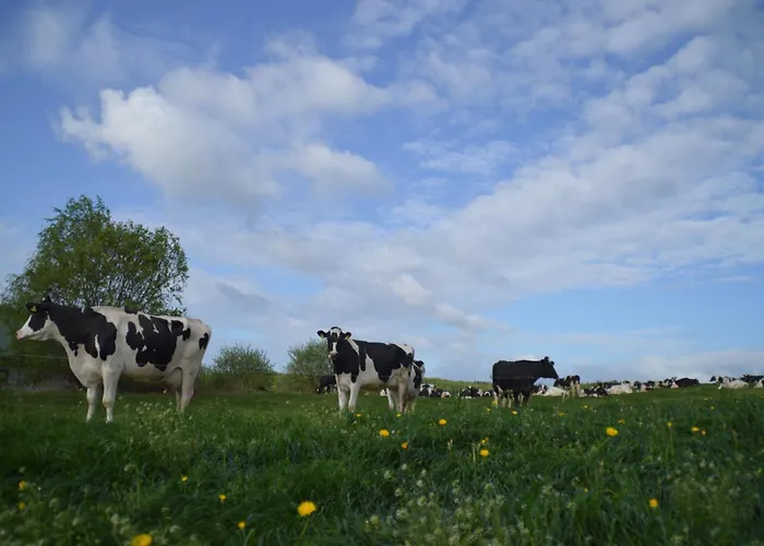 Kleine Einzigartige Auf Dem Bauernhof, Direkt In Der Mit Blick Auf Schloss *