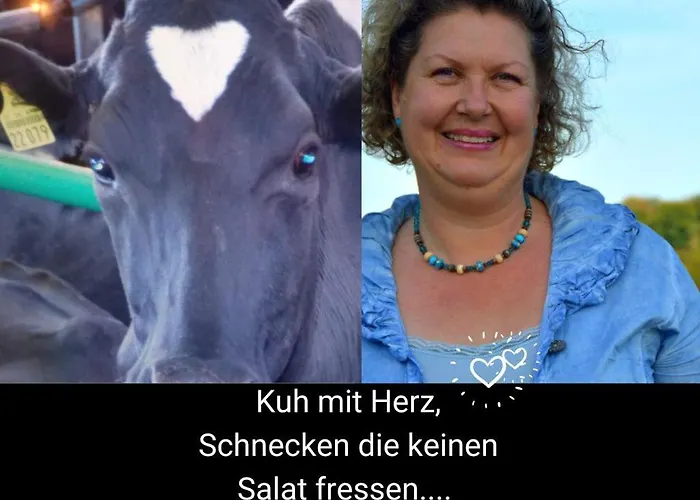 Kleine Einzigartige Auf Dem Bauernhof, Direkt In Der Mit Blick Auf Schloss Braunfels