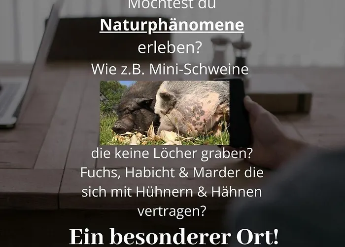 Lejlighed Kleine Einzigartige Auf Dem Bauernhof, Direkt In Der Mit Blick Auf Schloss *