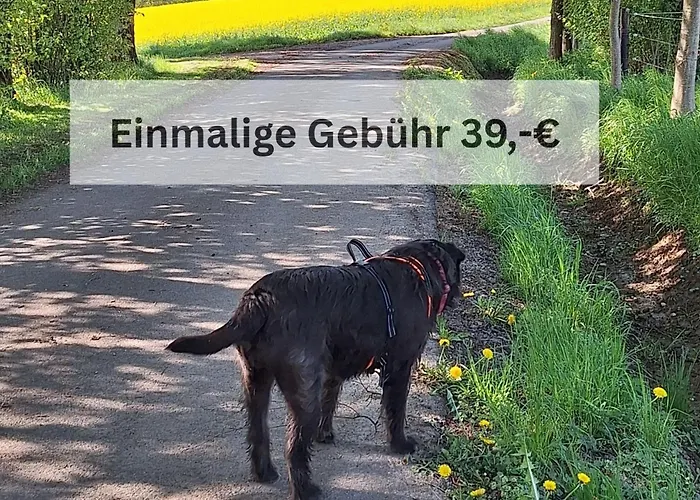 Kleine Einzigartige Auf Dem Bauernhof, Direkt In Der Mit Blick Auf Schloss Lejlighed *